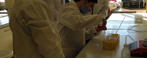 Uczniowie klasy III H na zajęciach laboratoryjnych z chemii