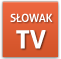 SłowakTV w serwisie YouTube
